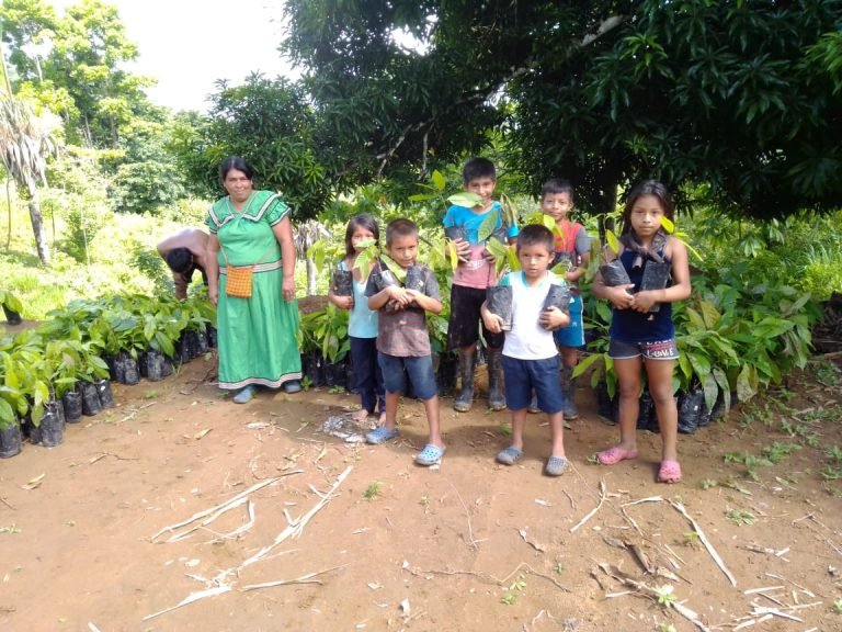 Mujeres indígenas reafirman su rol como protectoras del bosque, portadoras de conocimiento y emprendedoras