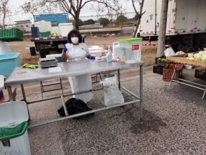 CNP apoya a pescadores en comercialización de su producto en las Ferias del Agricultor