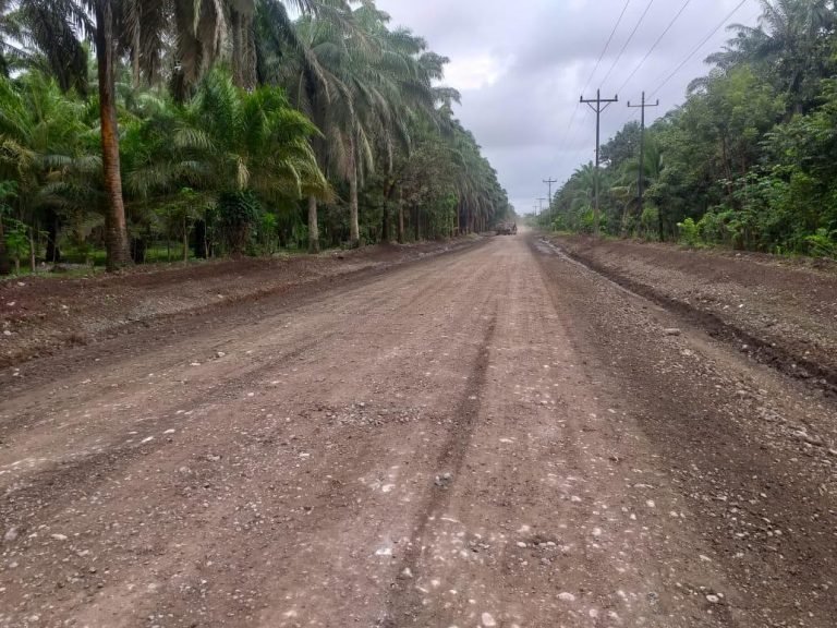 Concluidos trabajos en ruta 609 de Parrita