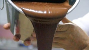 Cantón de Talamanca reúne 19 emprendimientos ligados a la producción de chocolate