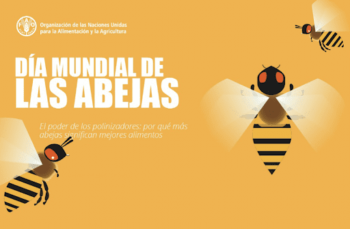 Si no salvamos a las abejas, pasaremos hambre