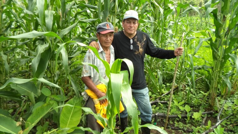 Treinta países se beneficiarán de proyectos dirigidos por la FAO y financiados por el FMAM