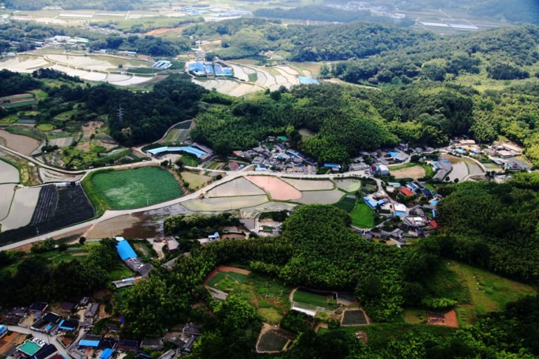 Sistema agrícola tradicional del bambú de Corea se inscribe en el patrimonio agrícola mundial