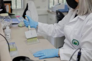 Conare señala que informe de Comisión sobre FEES es “subjetivo, prejuicioso y estigmatizador”