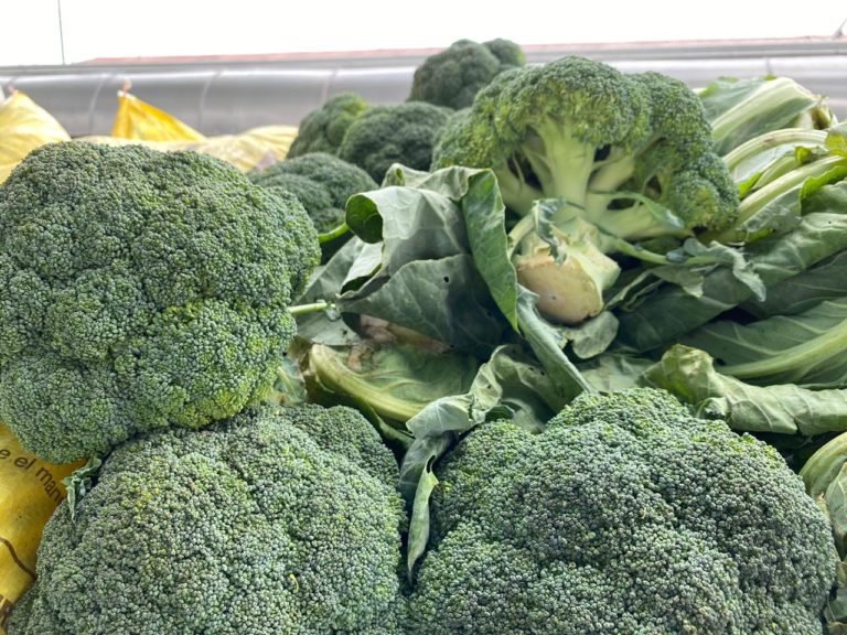 Agricultores de Cartago denuncian sobreprecios en productos como el brócoli, en cadenas de supermercados