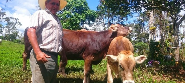 Ganadero ayuda a su comunidad y evita el desperdicio alimentario repartiendo leche de forma gratuita