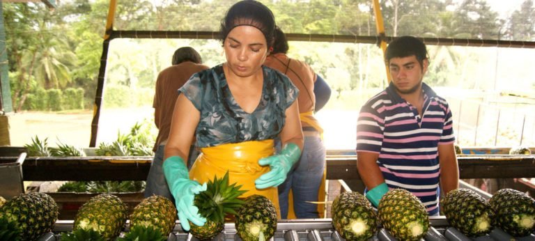 Readecuan y reestructuran deudas del sector agroproductivo por más de ₡130 mil millones