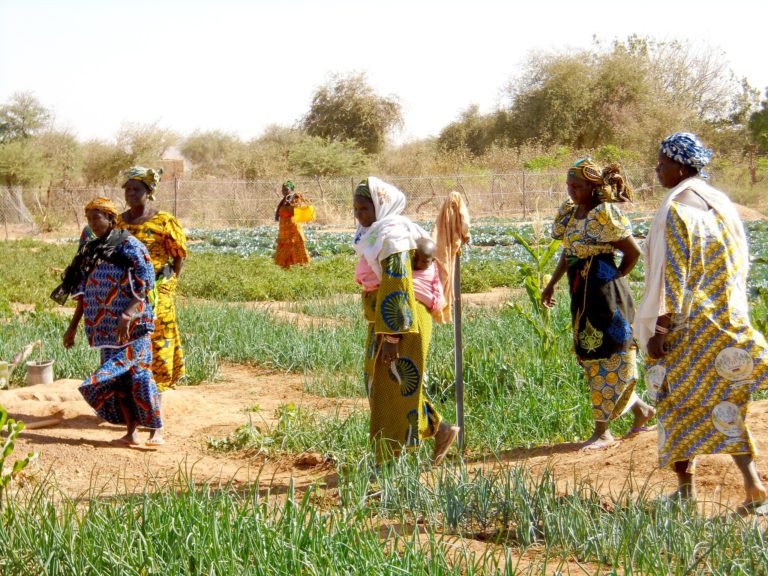 Burkina Faso: Más de 3 millones de personas están haciendo frente a una grave inseguridad alimentaria