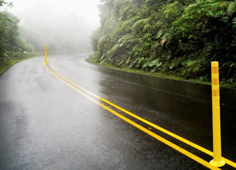 Organizaciones ambientalistas exhortan a MOPT y Conavi a construir pasos de fauna en la ruta 32