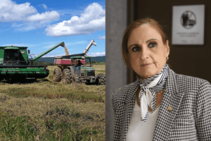 Zoila Volio a los arroceros: Están lucrando de la comida de los costarricenses