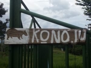 Suspenden desalojo en territorio indígena de China Kichá