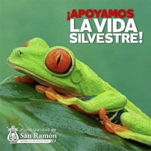 Municipalidad de San Ramón se pronuncia contra cierre de sitios de manejo de vida silvestre en el cantón