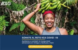 IICA lanza campaña de crowdfunding para reforzar seguridad alimentaria en Haití y Antigua y Barbuda