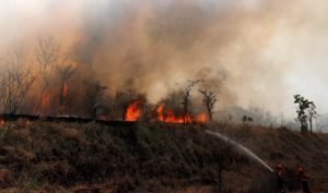 Bolivia: Incendios forestales amenazan reservas naturales