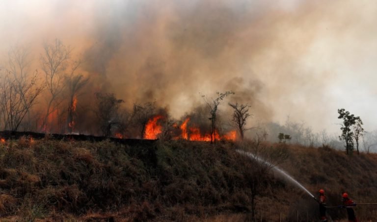 Bolivia: Incendios forestales amenazan reservas naturales