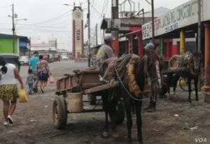 La pobreza en Nicaragua además de política es ambiental