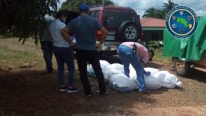 Fuerza Pública decomisó media tonelada de cianuro en Los Chiles