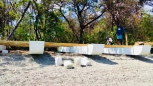 Instalarán granjas de cultivo de camarón en Isla Venado