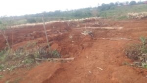 Alianza Campesina del Norte denuncia desalojo ilegal de familias en Asentamiento La Cruz