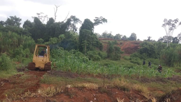 Alianza campesina denuncia desalojo de los asentamientos La Guaria y Monteverde