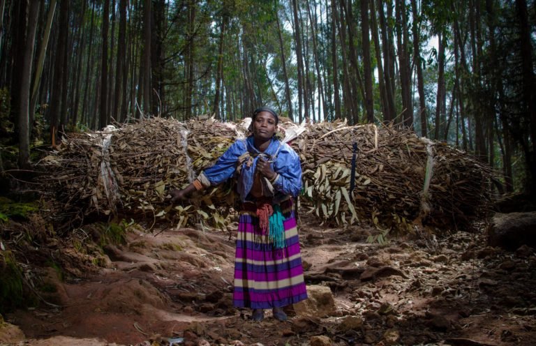 Habitantes de las montañas, entre quienes más hambre padecen ante pérdida de biodiversidad y cambio climático