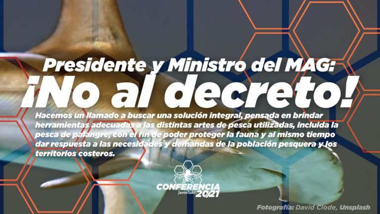 Juventudes PAC se posicionan contra decreto que podrían permitir pesca y comercialización de tiburón martillo