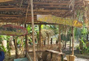 Grupo de vecinos de Sámara son caso de éxito para modelos asociativos en el resto del país