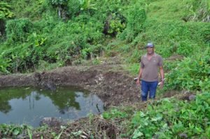 FAO, FIDA y PMA crean alianza de cara a la Cumbre sobre Sistemas Alimentarios de Naciones Unidas