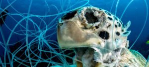 Cómo la “pesca fantasma” esquilma silenciosamente nuestros océanos