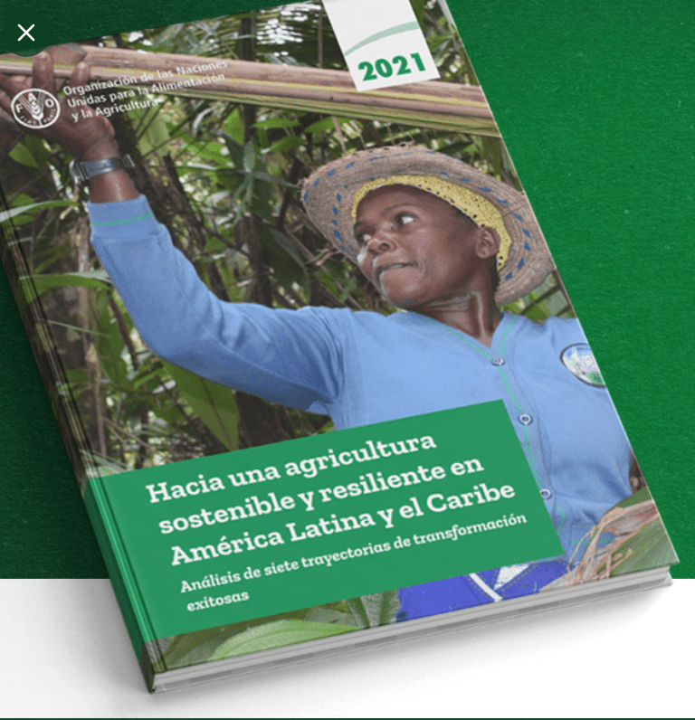 FAO: Los proyectos ambientales pueden generar más empleo y crecimiento en América Latina y el Caribe