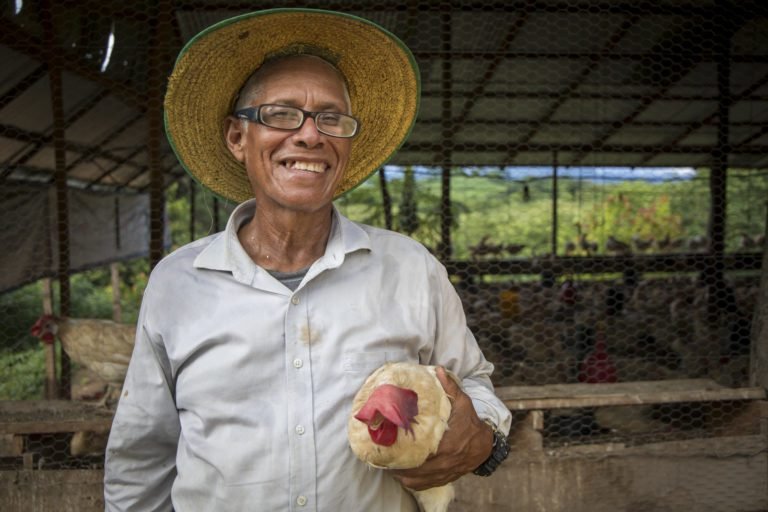 Presentan la experiencia del programa “Mesoamérica sin Hambre AMEXCID-FAO” en Honduras