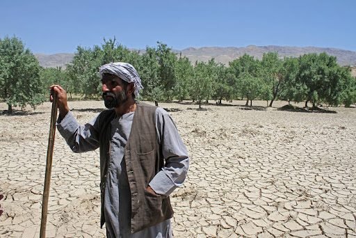 La Sequía Amenaza Los Medios De Vida De Siete Millones De Agricultores En El Afganistán 4609