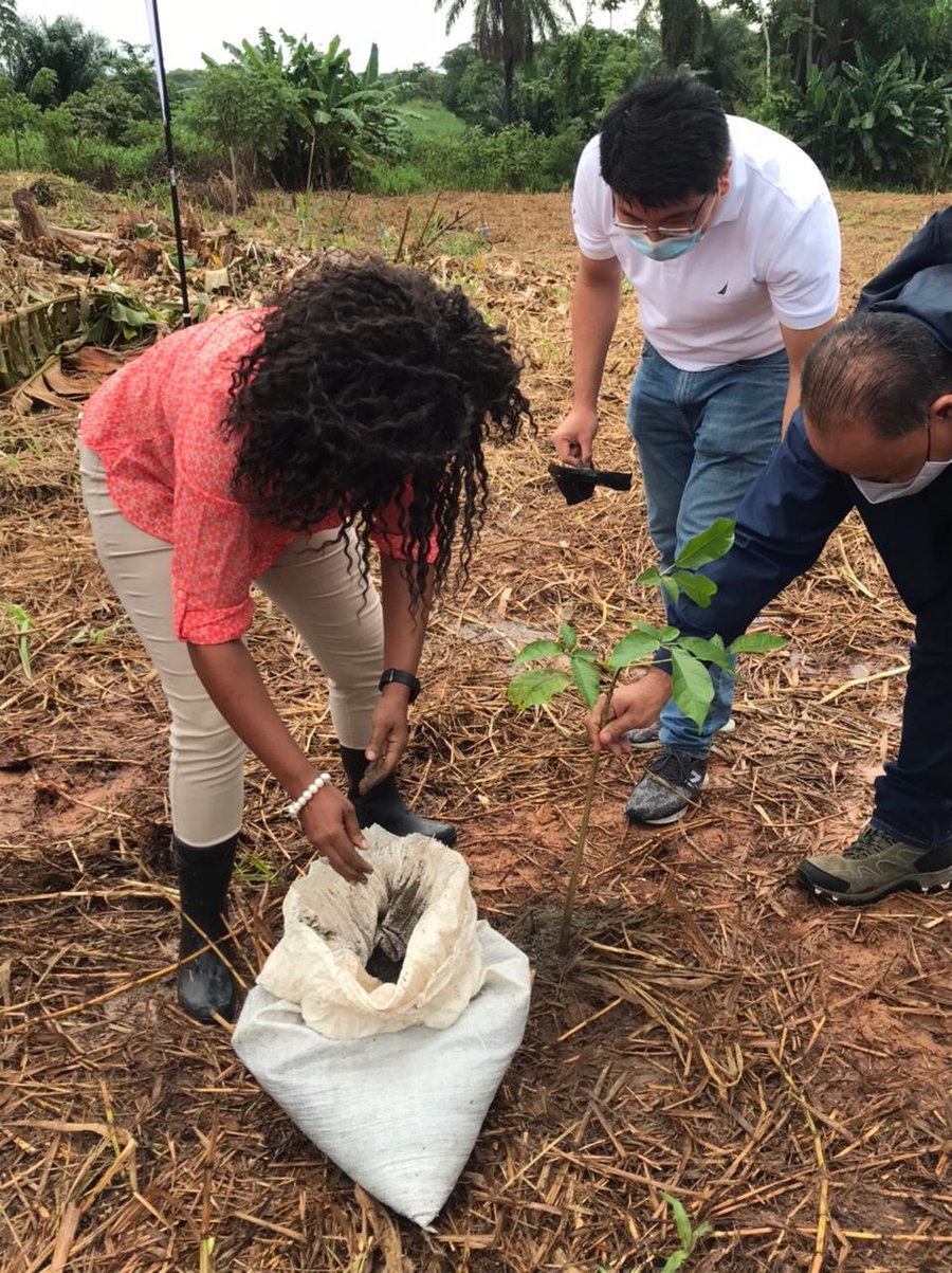 En un acto llevado a cabo en Los Chiles, la vicepresidenta de la República, Epsy Campbell Barr, plantó junto al gerente general de Huawei, Peng Yang, los primeros árboles que formarán el bosque con trece circunferencias