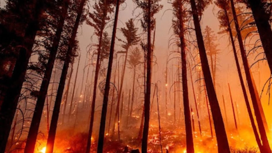 Incendios forestales afectan la calidad del aire en todo Estados Unidos