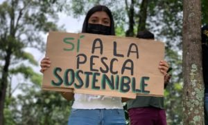 Proyecto de riqueza atunera sufre modificaciones y queda listo para segundo debate