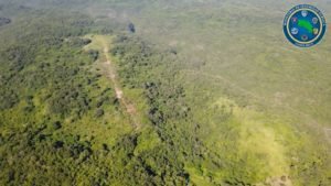 Vigilancia Aérea ha inhabilitado cinco pistas de aterrizaje clandestinas