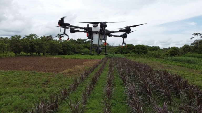 La agricultura es, y seguirá siendo, un sector fundamental de la economía de cualquier país