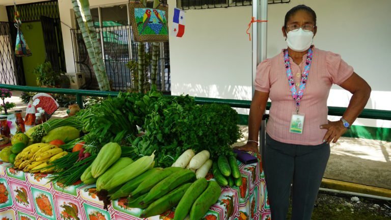 Agricultores familiares de Panamá Oeste ahora cuentan con insumos para el desarrollo de mercados locales