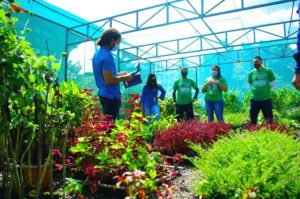 Reverdecer ciudades de Costa Rica, una forma de trabajo tras el COVID-19