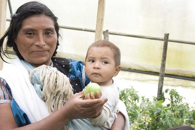 Mujeres indígenas y los sistemas agroalimentarios