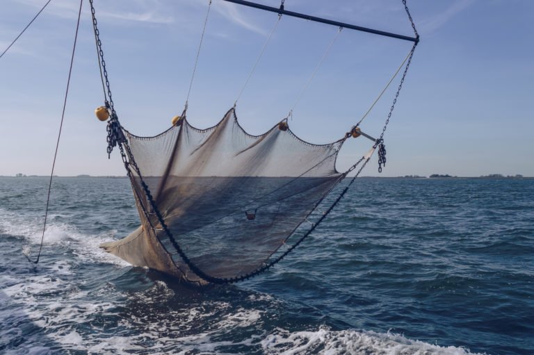 Pescadores artesanales celebran veto a la ley de arrastre