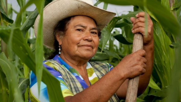 FAO: Las olas de calor y las inundaciones afectan de forma diferente a las mujeres y los hombres rurales