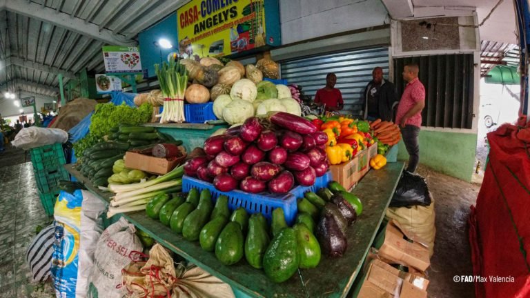 La transformación de los sistemas agroalimentarios: propuesta de un marco nuevo y ambicioso para realizar un seguimiento de los avances