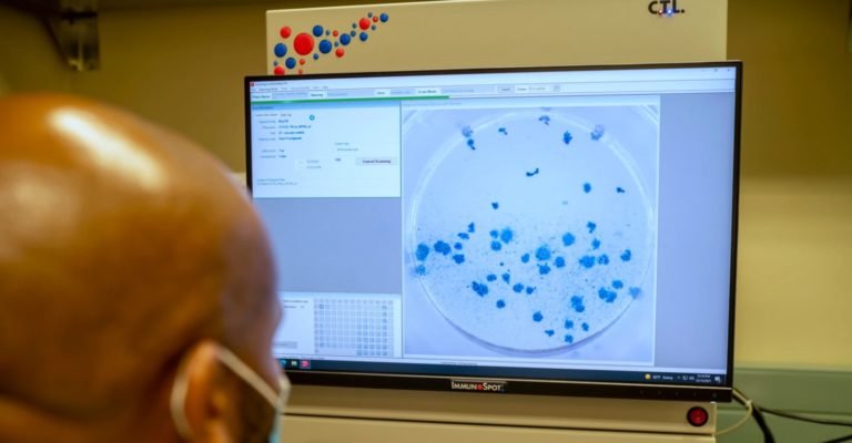 Nuevo estudio sugiere que la infección por ómicron refuerza la inmunidad frente a delta