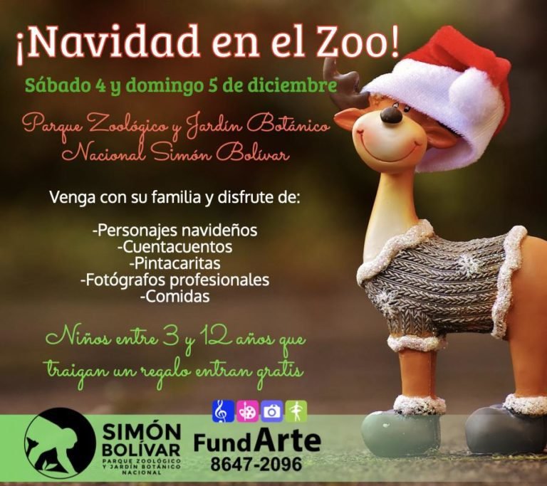 FUNDAZOO presenta sus actividades de diciembre