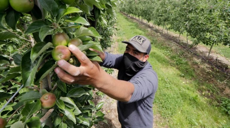 EE.UU. ofrecerá 20.000 visas a trabajadores temporales