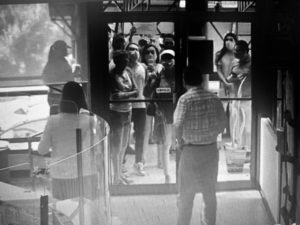 Defensora: No existe justificación alguna para las amenazas y agresiones físicas o verbales