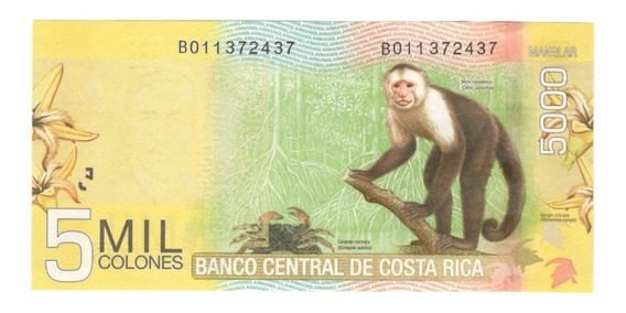 Billete de ¢5.000 de papel algodón saldrá de circulación este 1° de marzo