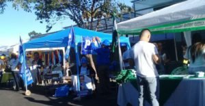 TSE evalúa permitir instalación de toldos, presencia de guías y mitines