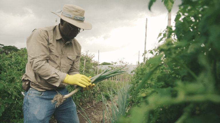 Cámara Nacional de Agricultura se opone categóricamente al aumento y creación de nuevos impuestos